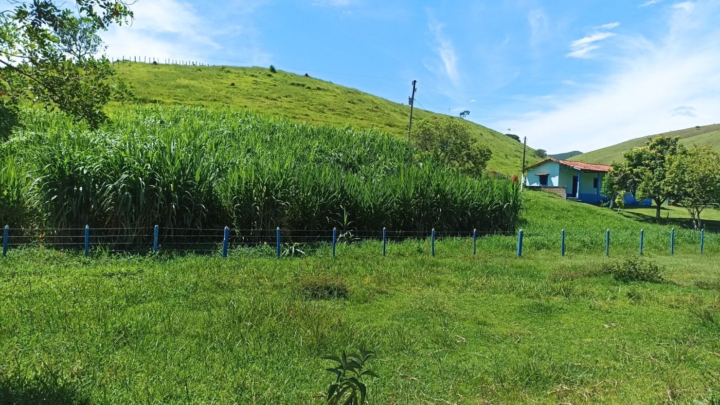 Fazenda em Paraibuna/São Paulo — Ref 1CNCIP — Imagem 15