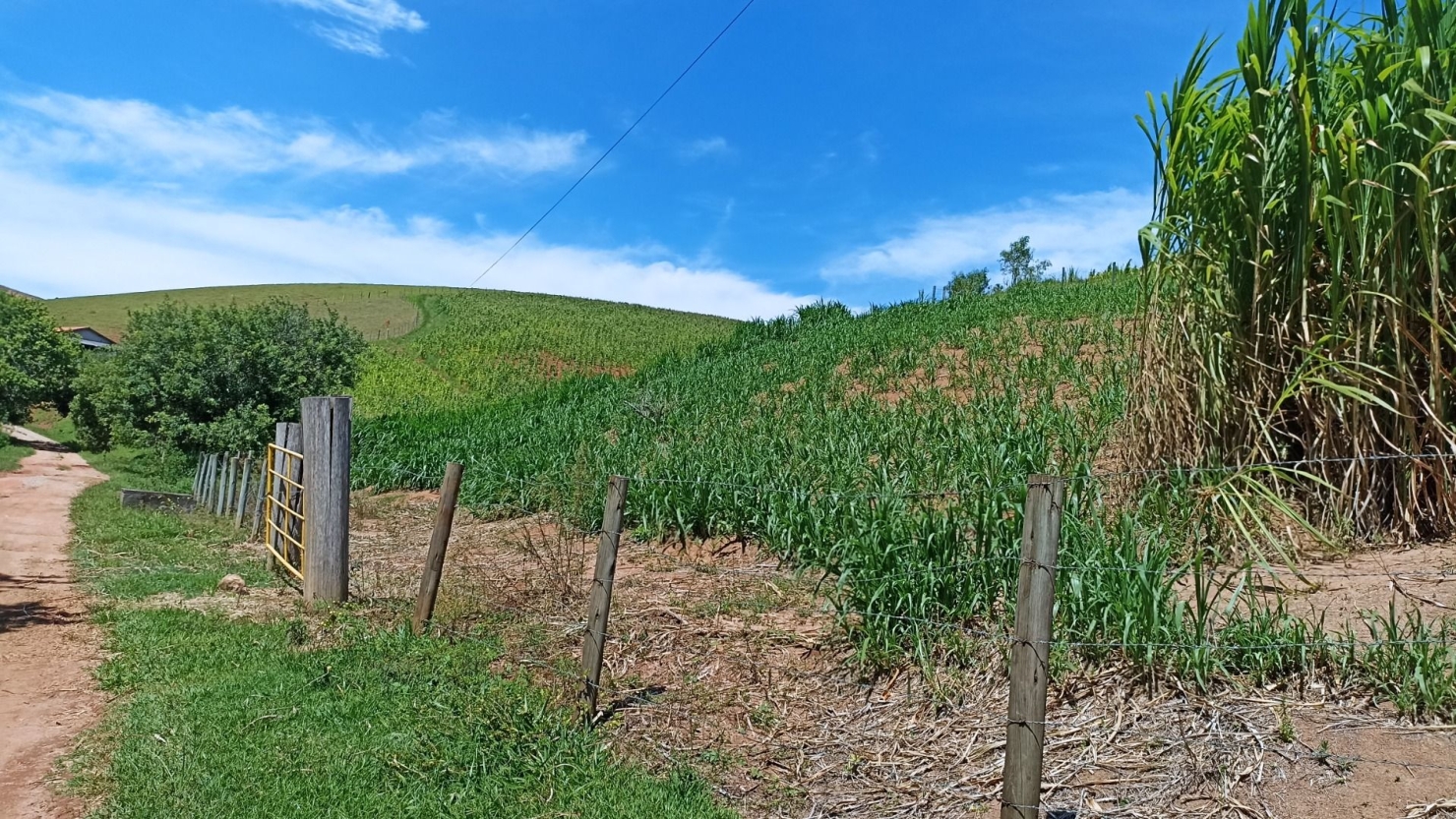 Fazenda em Paraibuna/São Paulo — Ref 1CNCIP — Imagem 16