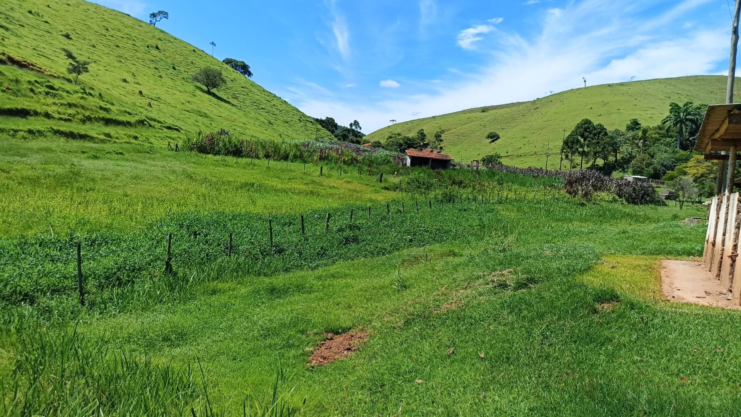 Fazenda em Paraibuna/São Paulo — Ref 1CNCIP — Imagem 17