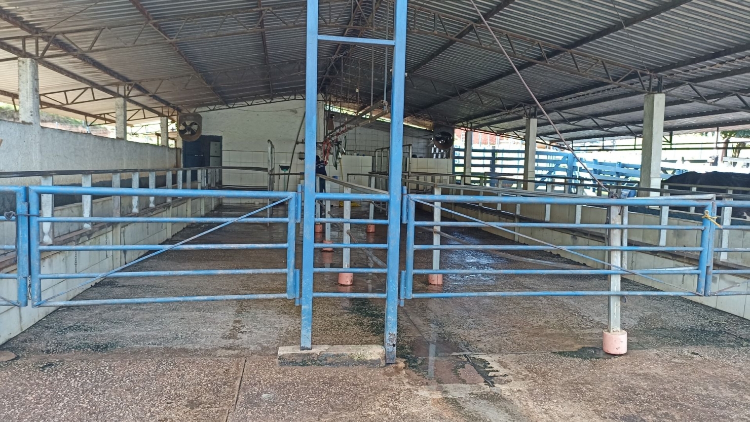 Fazenda em Paraibuna/São Paulo — Ref 1CNCIP — Imagem 5