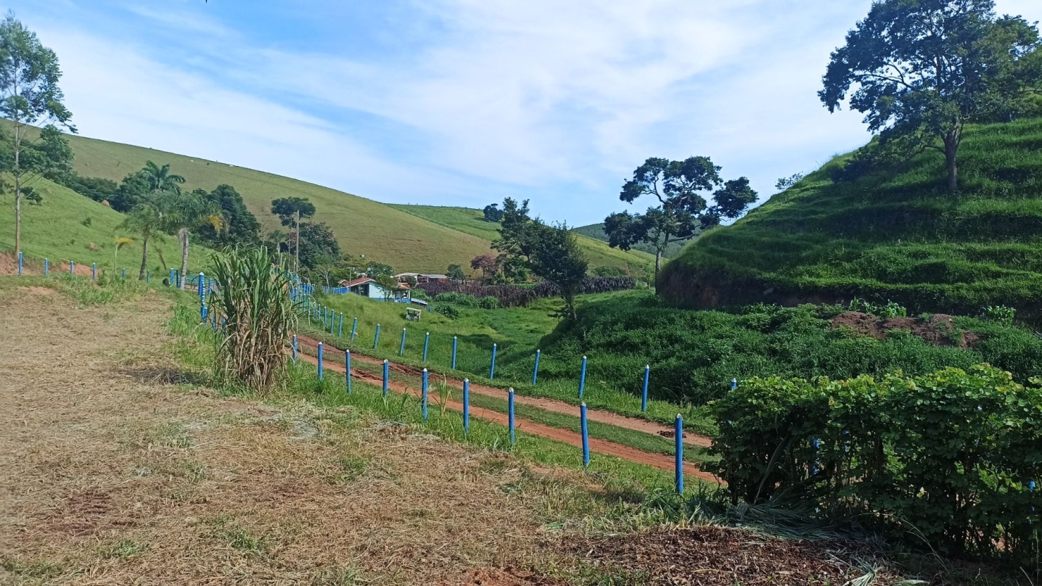 Fazenda em Paraibuna/São Paulo — Ref 1CNCIP — Imagem 18