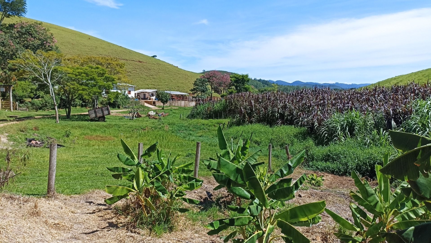 Fazenda em Paraibuna/São Paulo — Ref 1CNCIP — Imagem 21