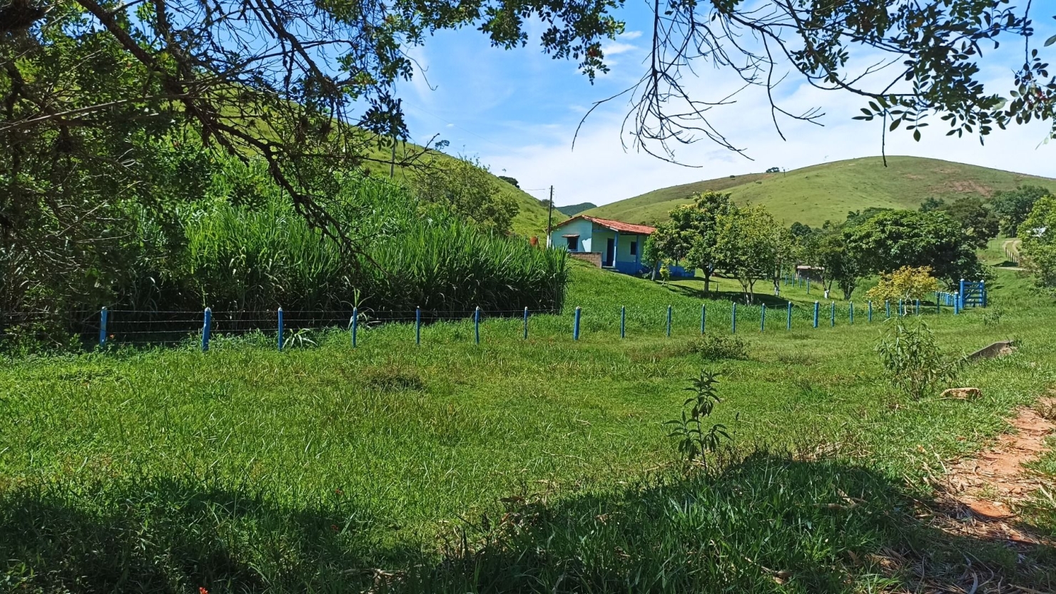 Fazenda em Paraibuna/São Paulo — Ref 1CNCIP — Imagem 22