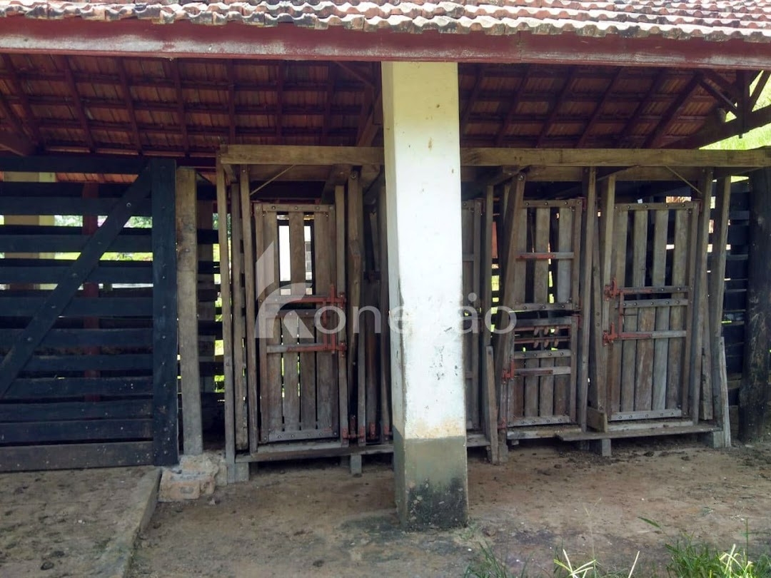 Sítio em Cunha/São Paulo — Ref 3NZVHM — Imagem 19