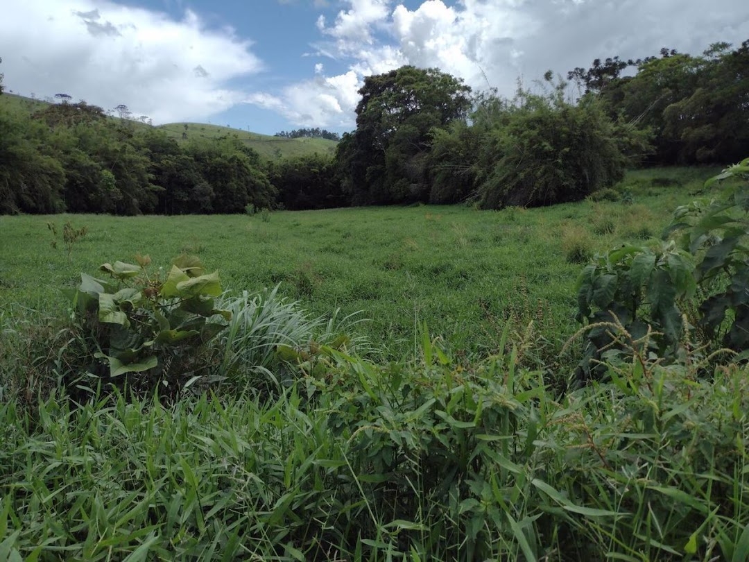 Fazenda em Guaratinguetá/São Paulo — Ref TRIBGM — Imagem 24