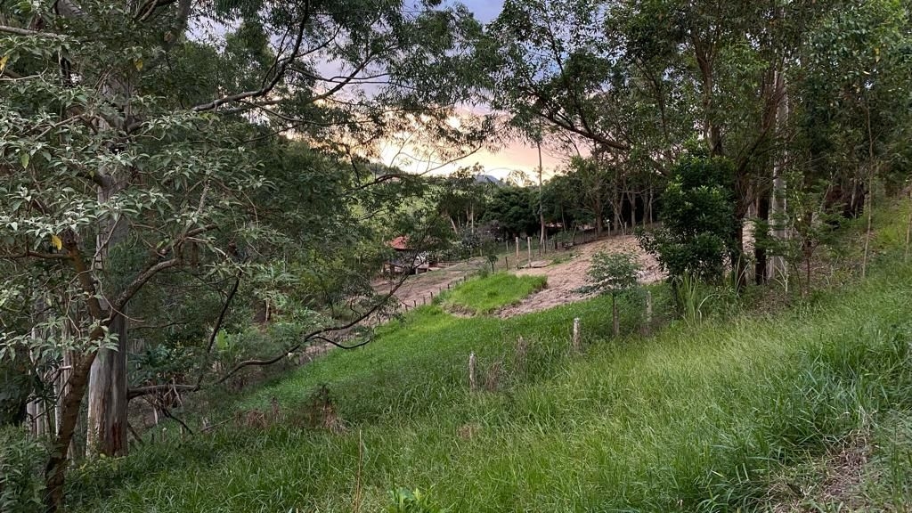 Sítio, 3 quartos, 150 m² - Foto 3