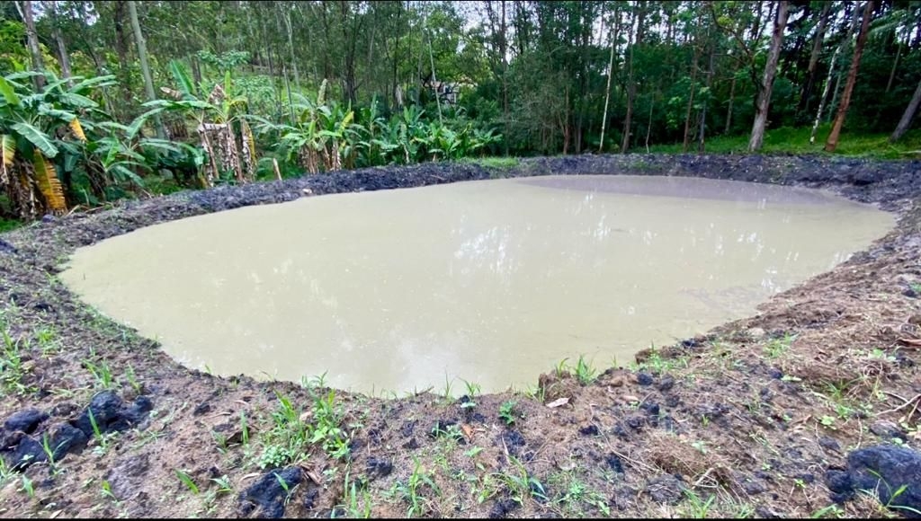 Chácara em Paraibuna/São Paulo — Ref WWVGNA — Imagem 12