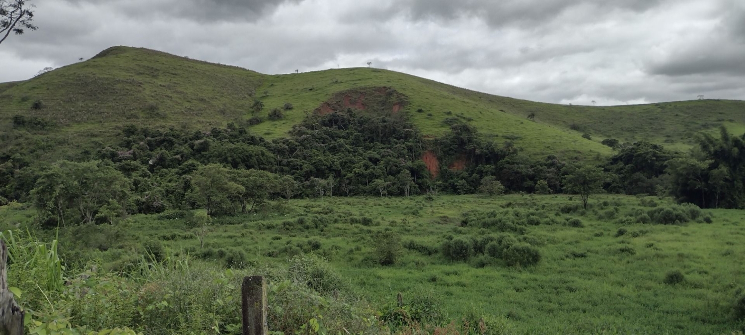 Fazenda, 200 m² - Foto 7