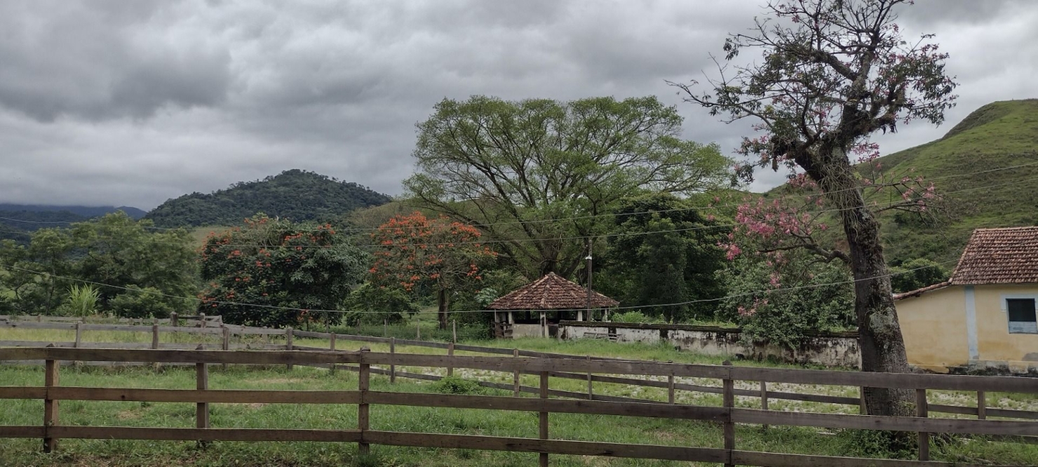 Fazenda, 200 m² - Foto 8