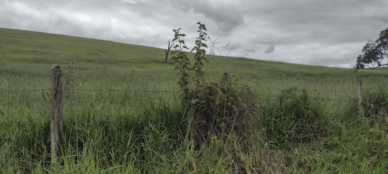 Fazenda, 200 m² - Foto 17