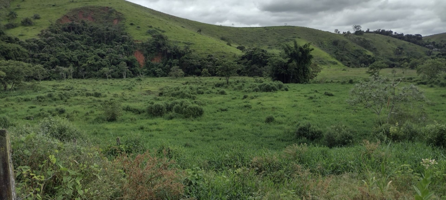 Fazenda, 200 m² - Foto 22