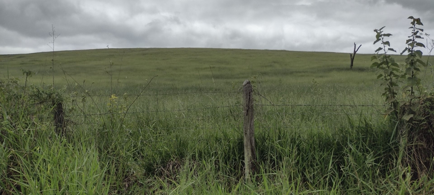 Fazenda, 200 m² - Foto 25