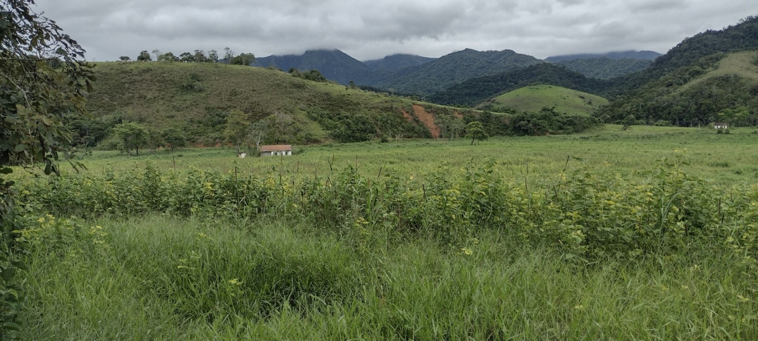 Fazenda, 200 m² - Foto 35