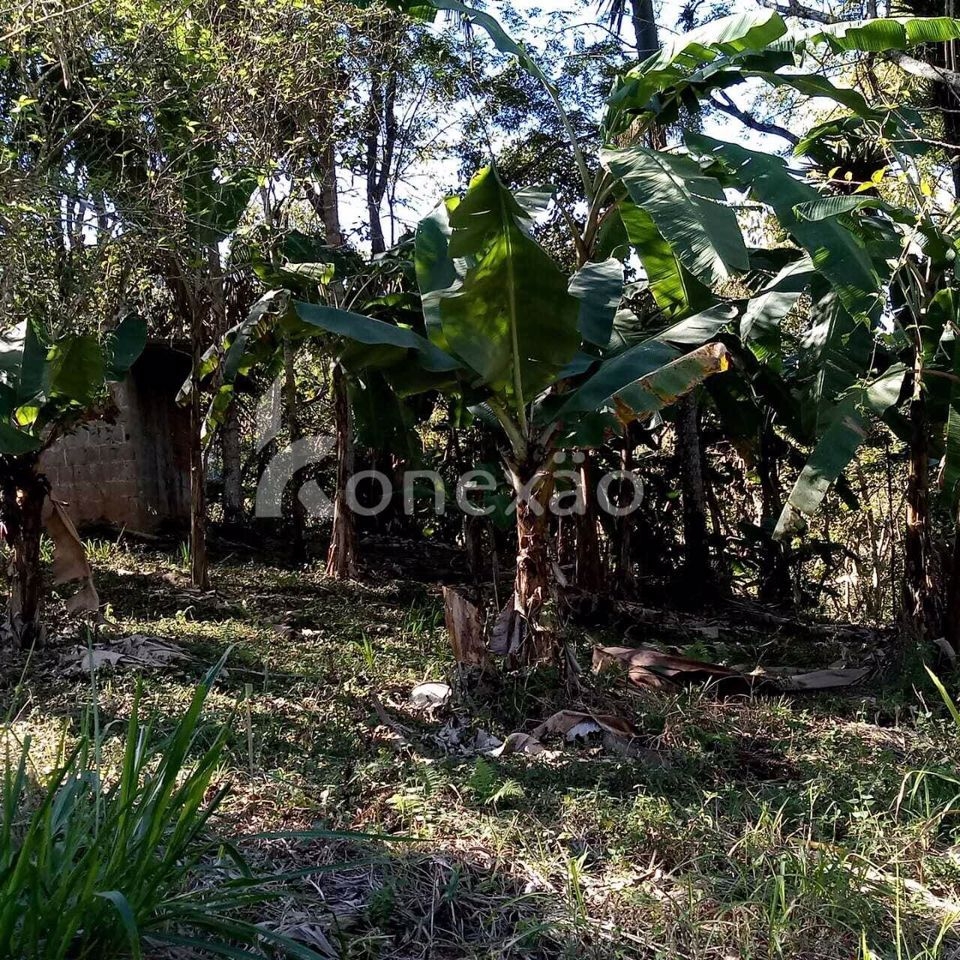 Sítio em Paraibuna/São Paulo — Ref RDKTHI — Imagem 7
