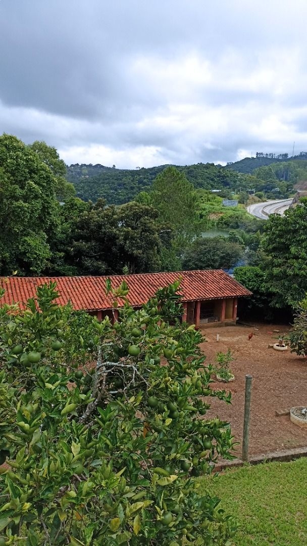 Chácara, 6 quartos, 550 m² - Foto 11