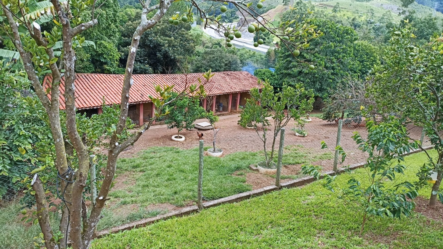 Chácara, 6 quartos, 550 m² - Foto 12