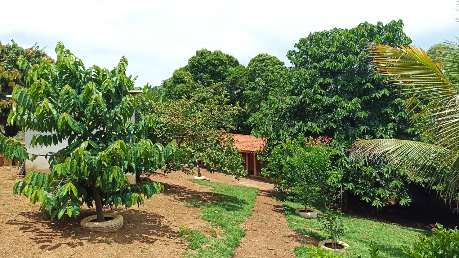 Chácara, 6 quartos, 550 m² - Foto 14