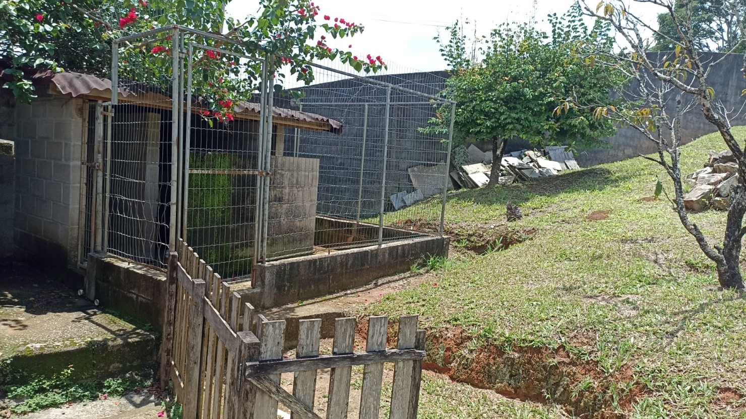 Chácara, 6 quartos, 550 m² - Foto 21