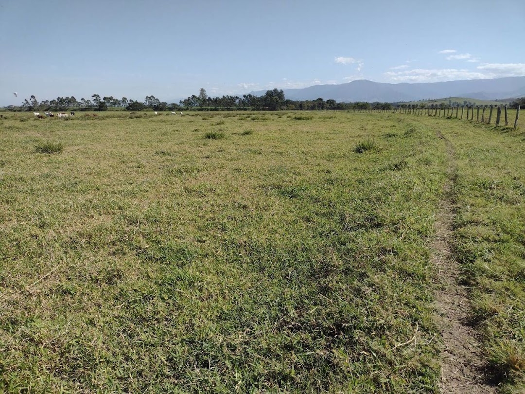 Fazenda-Sítio-Chácara, 120 m² - Foto 5