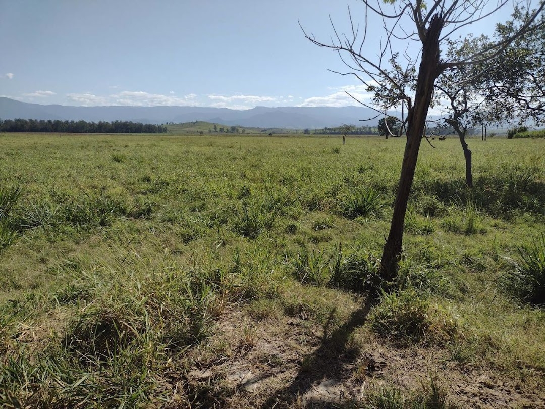 Fazenda-Sítio-Chácara, 120 m² - Foto 3