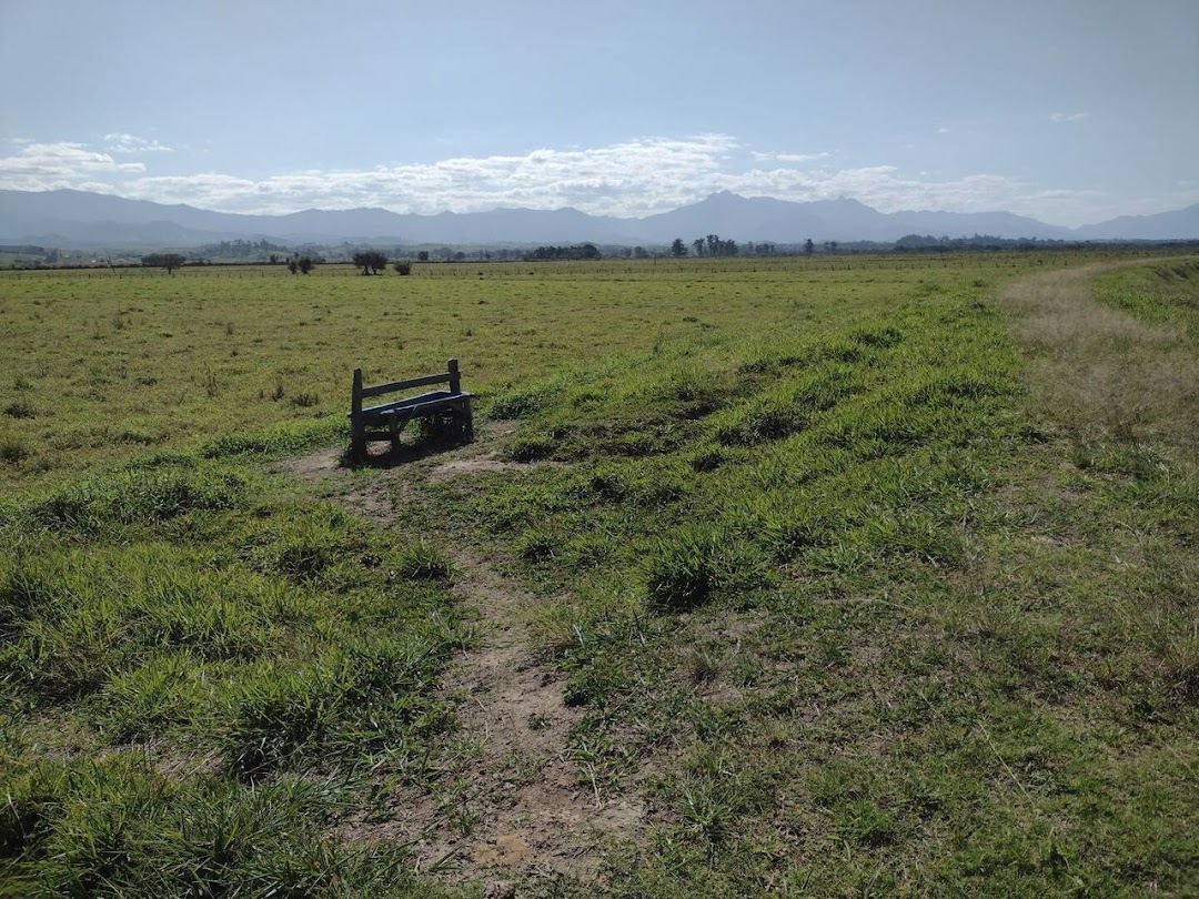 Fazenda-Sítio-Chácara, 120 m² - Foto 9