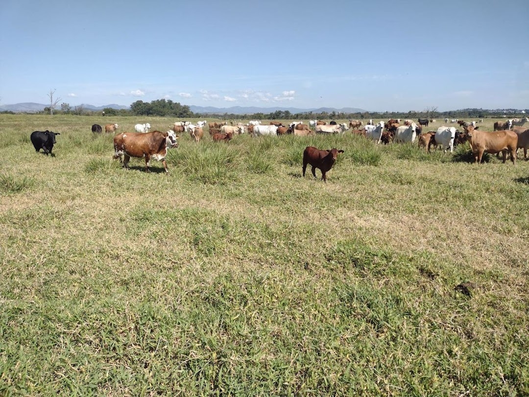 Fazenda-Sítio-Chácara, 120 m² - Foto 19