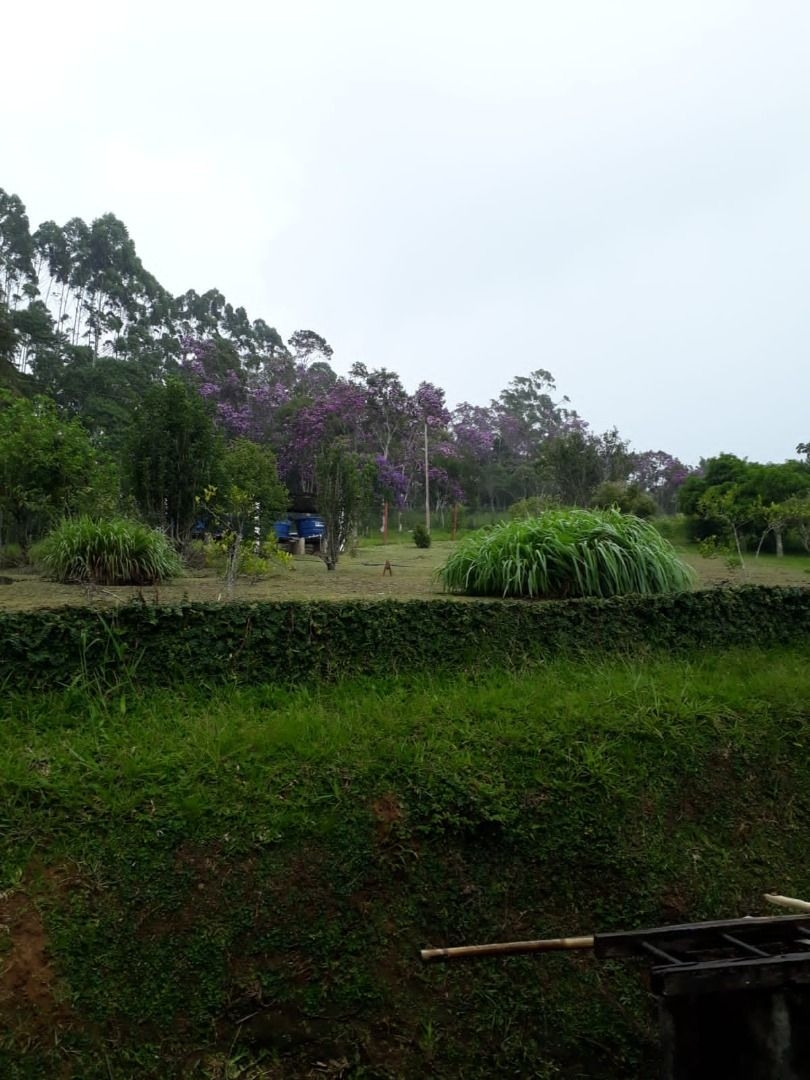 Chácara, 3 quartos, 3 hectares - Foto 2