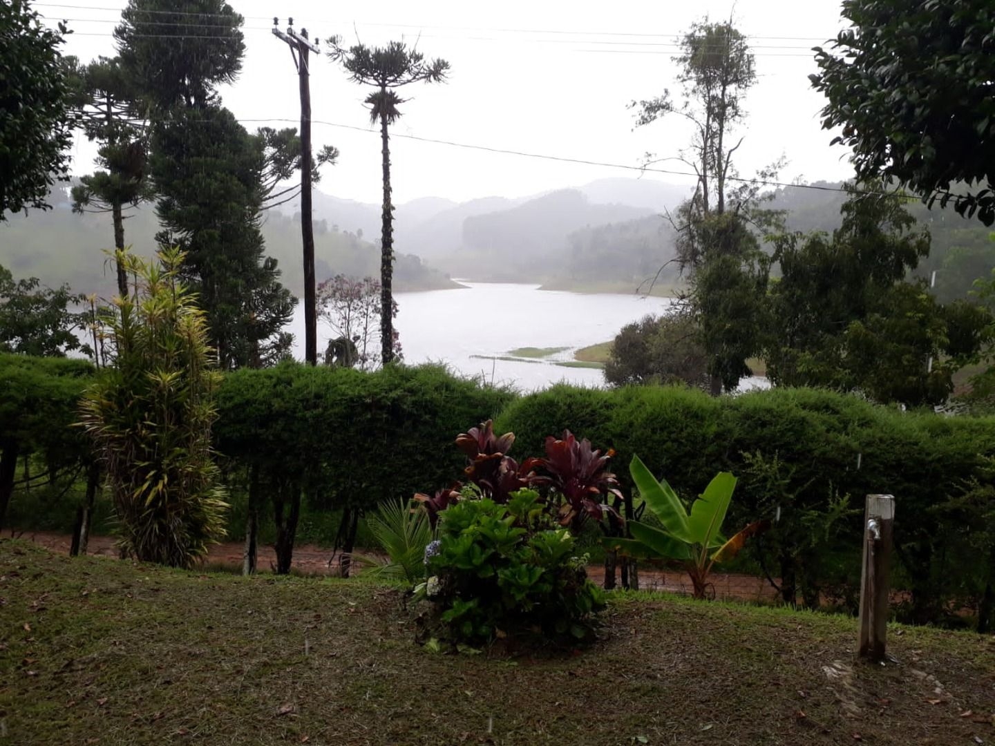 Chácara, 3 quartos, 3 hectares - Foto 1