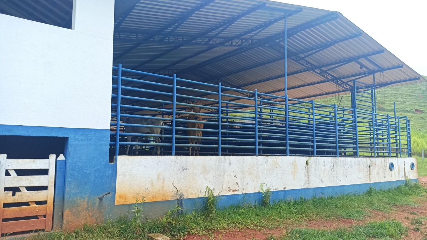 Fazenda-Sítio-Chácara, 300 m² - Foto 2