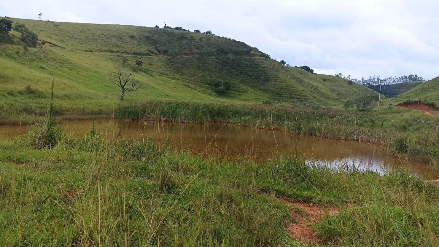 Fazenda-Sítio-Chácara, 300 m² - Foto 6