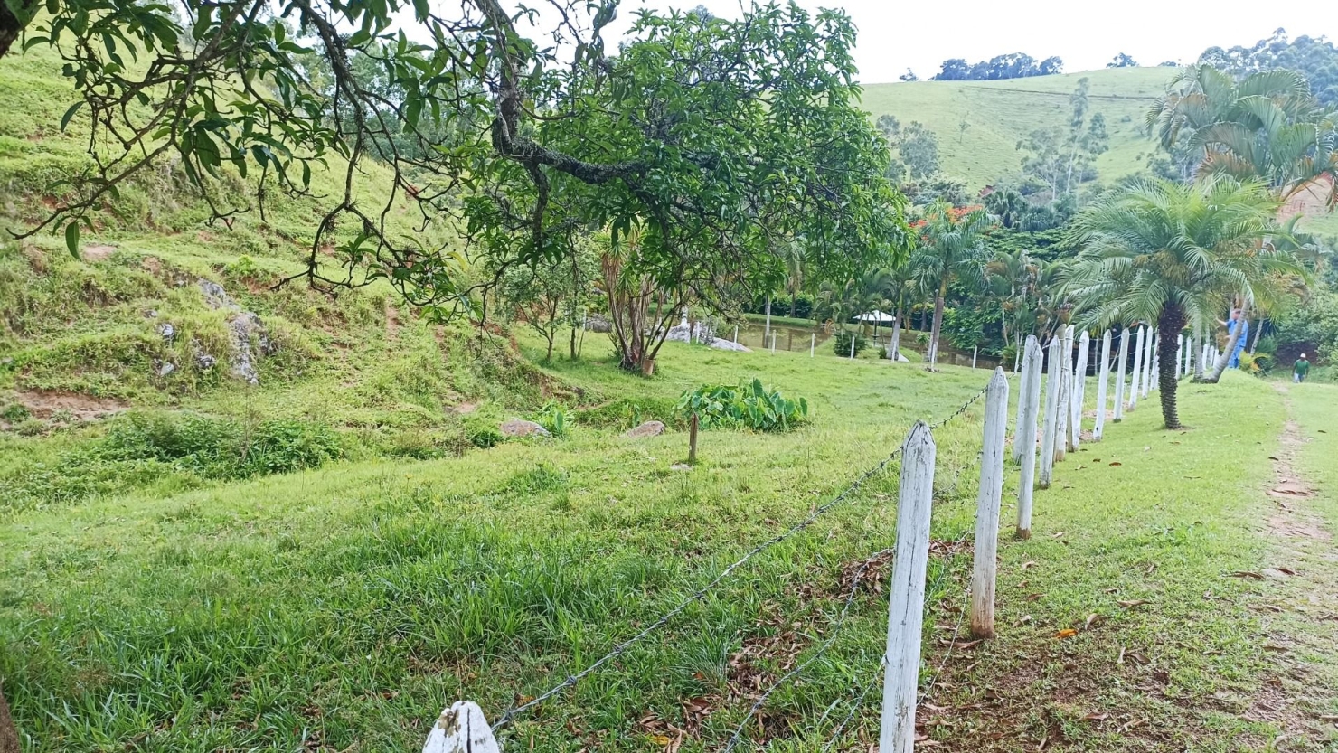 Fazenda-Sítio-Chácara, 300 m² - Foto 10