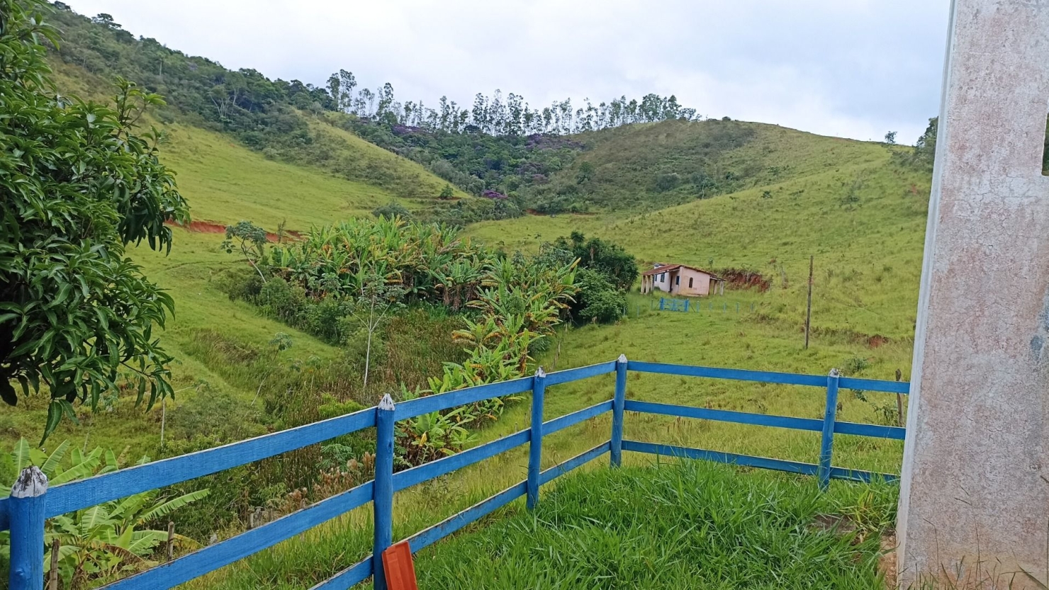Fazenda-Sítio-Chácara, 300 m² - Foto 13