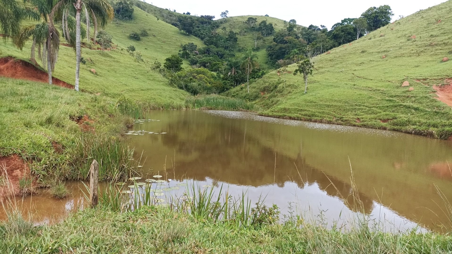 Fazenda-Sítio-Chácara, 300 m² - Foto 14