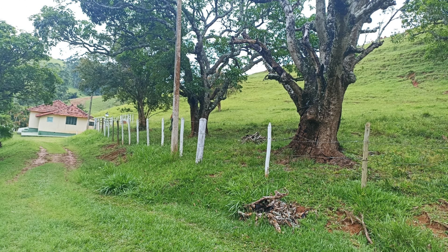 Fazenda-Sítio-Chácara, 300 m² - Foto 15