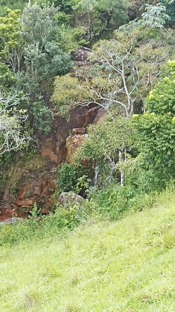 Fazenda-Sítio-Chácara, 300 m² - Foto 16