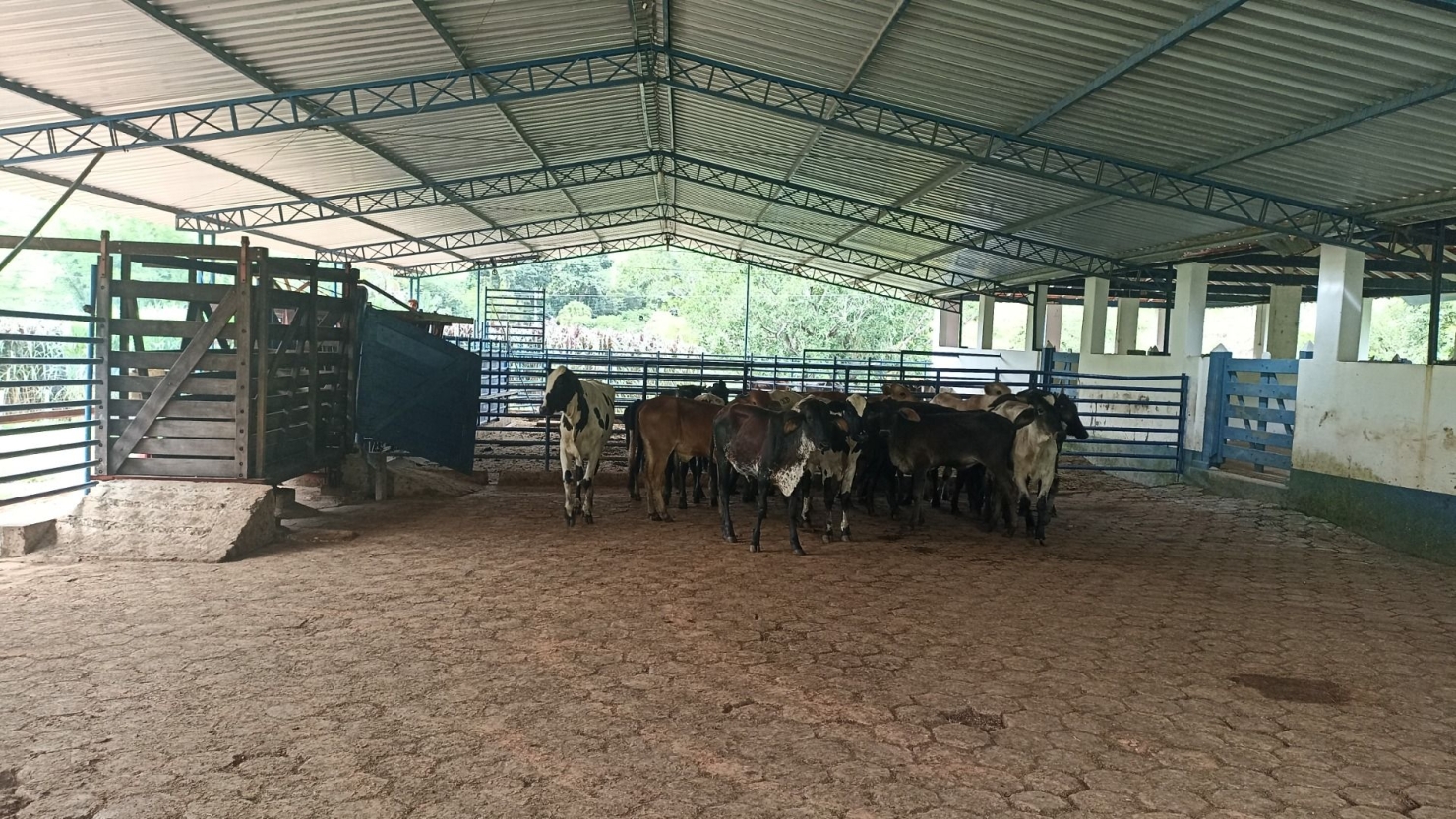 Fazenda-Sítio-Chácara, 300 m² - Foto 1