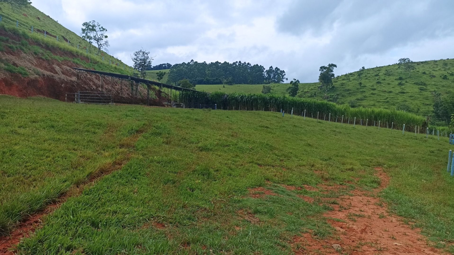 Fazenda-Sítio-Chácara, 300 m² - Foto 22