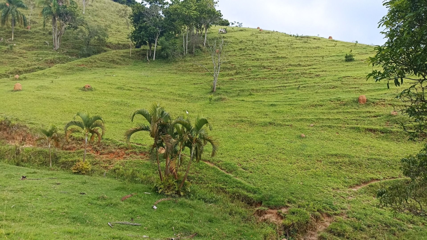 Fazenda-Sítio-Chácara, 300 m² - Foto 23