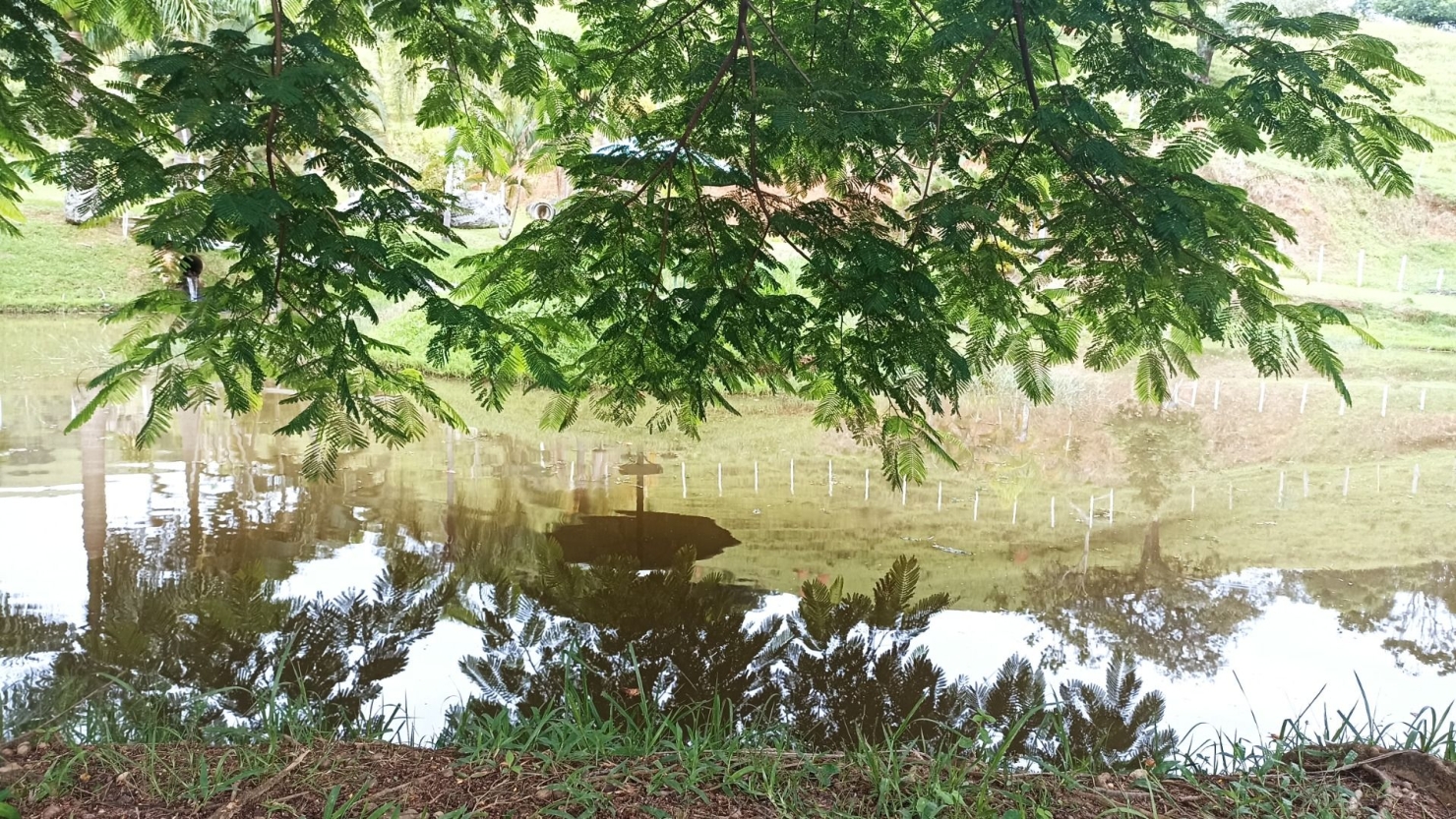 Fazenda-Sítio-Chácara, 300 m² - Foto 24