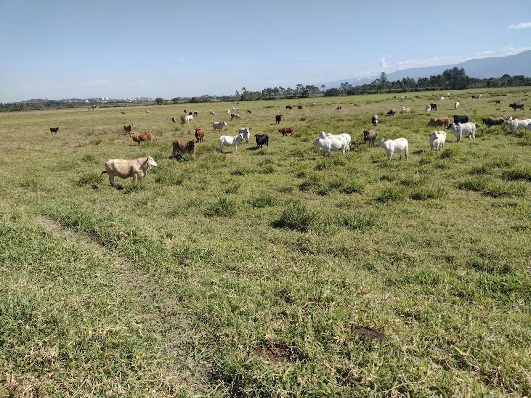 Fazenda-Sítio-Chácara, 120 m² - Foto 17