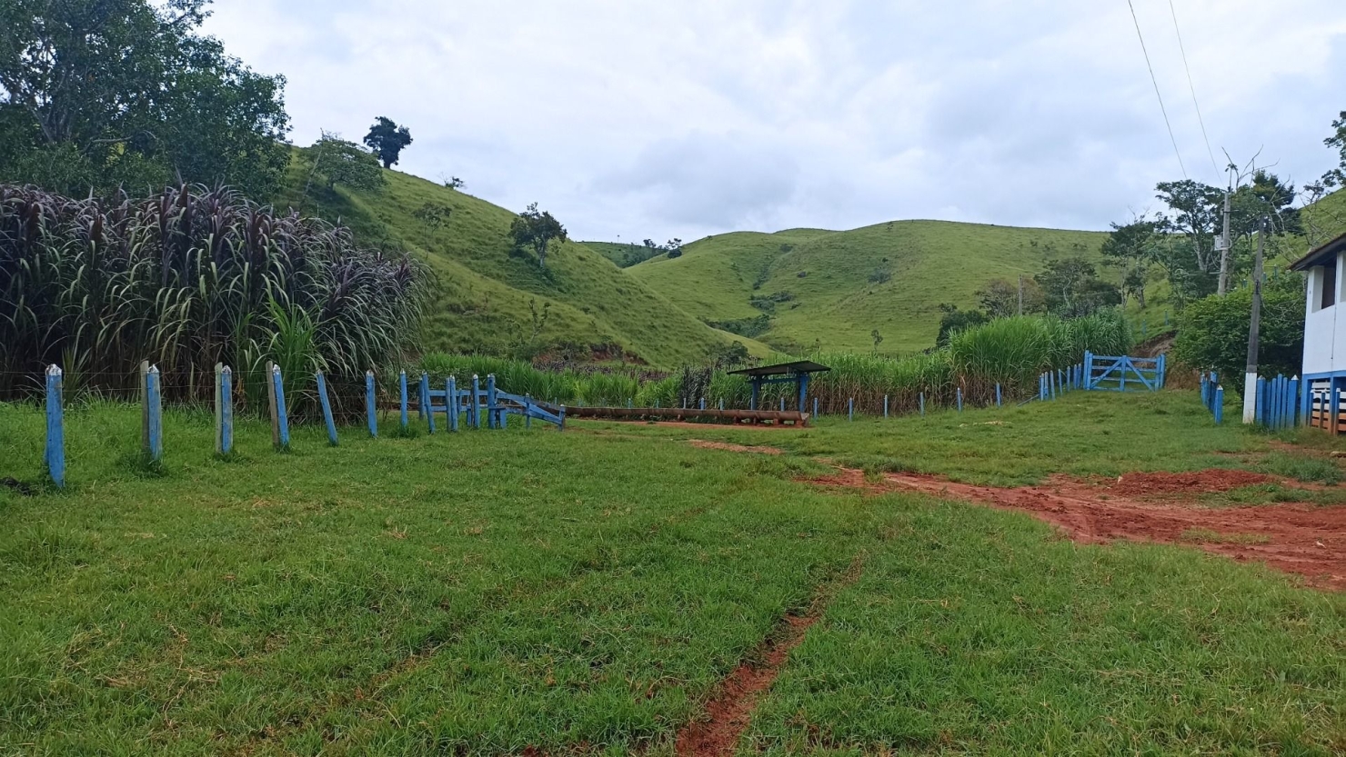 Fazenda-Sítio-Chácara, 300 m² - Foto 29