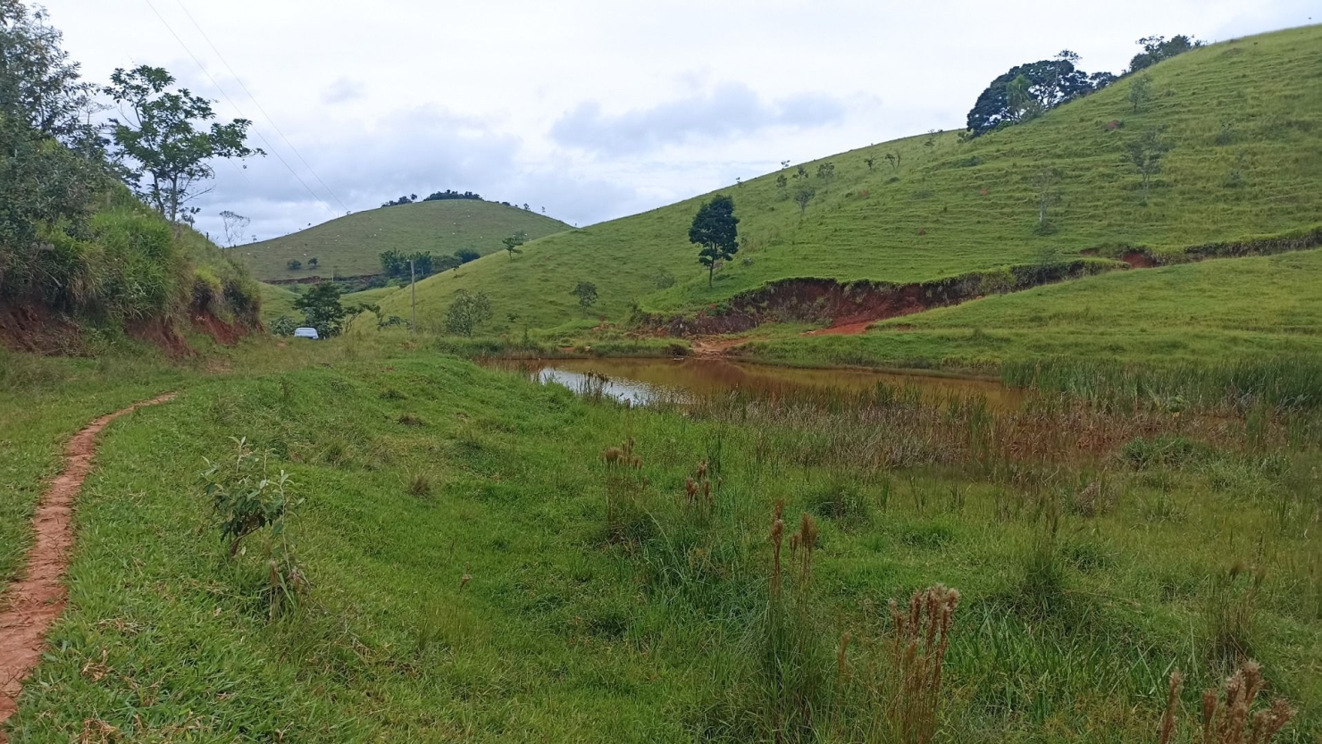 Fazenda-Sítio-Chácara, 300 m² - Foto 30