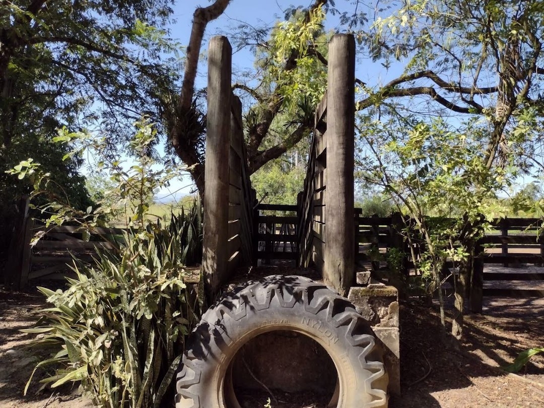 Fazenda-Sítio-Chácara, 120 m² - Foto 13