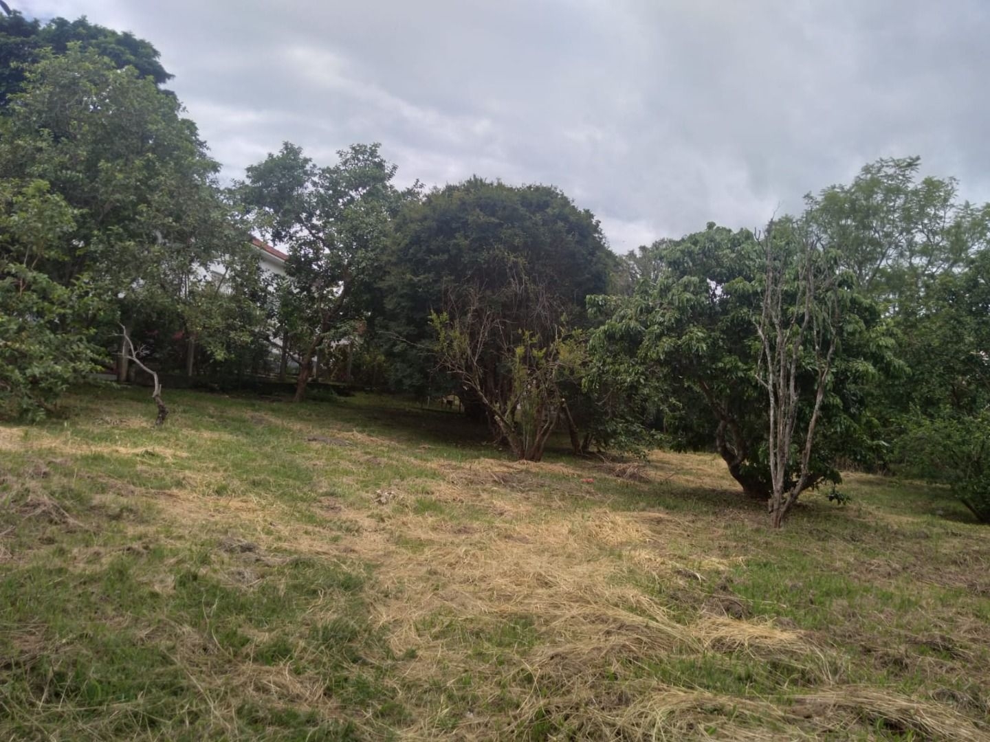 Casa, 4 quartos, 392 m² - Foto 46