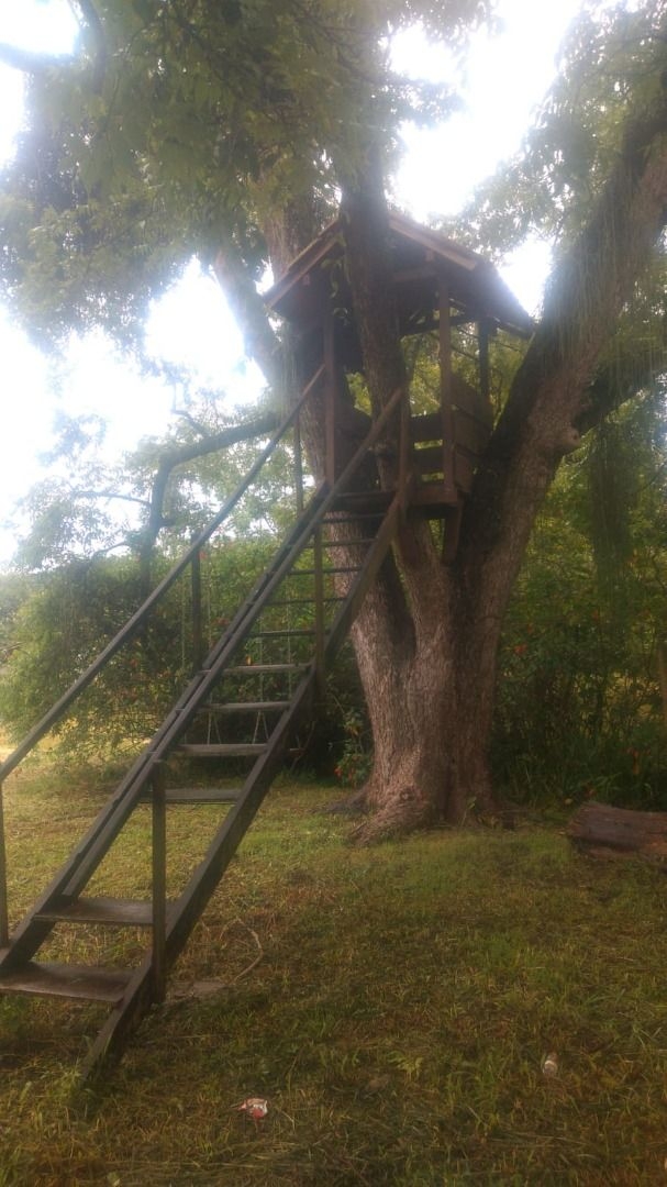 Casa, 4 quartos, 392 m² - Foto 9