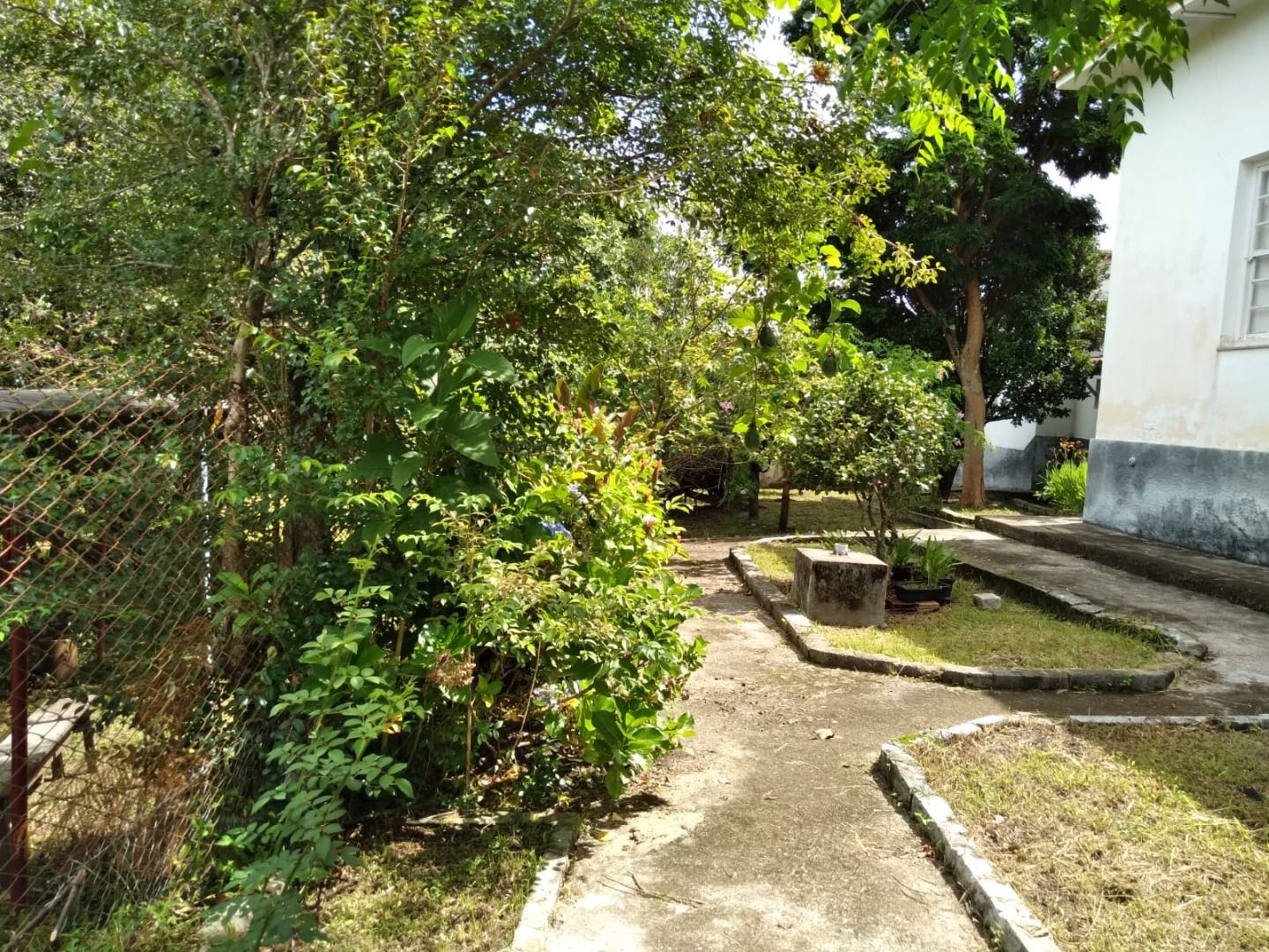 Casa, 4 quartos, 392 m² - Foto 8