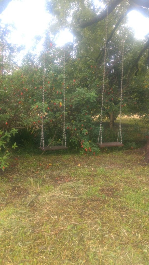 Casa, 4 quartos, 392 m² - Foto 11