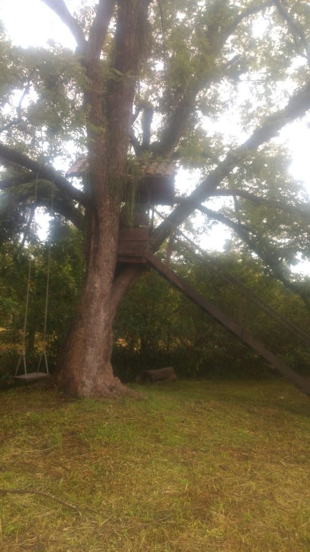 Casa, 4 quartos, 392 m² - Foto 12