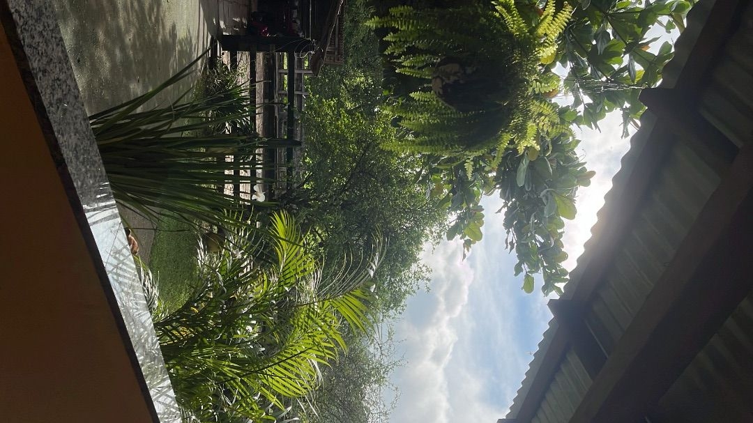 Fazenda, 200 m² - Foto 2