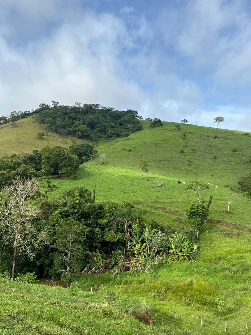 Fazenda, 200 m² - Foto 3